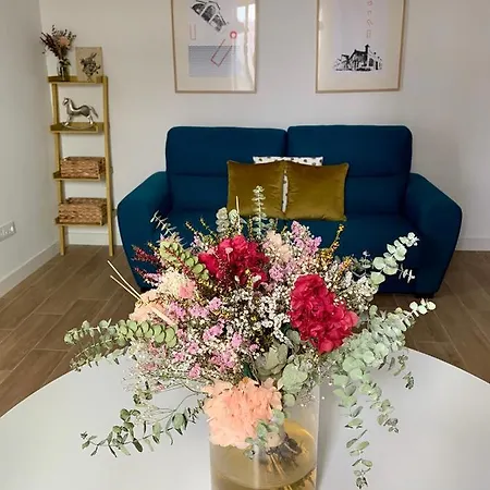 La Moma & Apartment Xativa