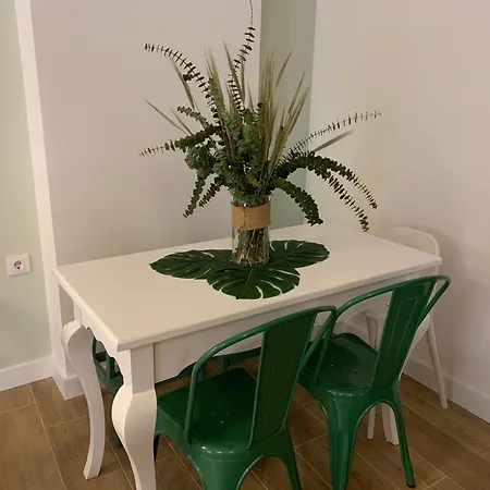 La Moma & Apartment Xativa